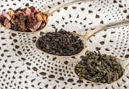 Différence oolong thé : comprendre oolong vs thé vert vs thé noir