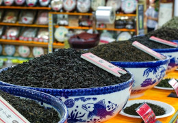 [Guide 2026] Quel oolong choisir selon ton profil ? Le guide expert pour choisir oolong comme un connaisseur