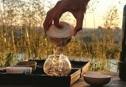 Thé Sun Moon Lake T-18 Thé Noir de Ri Yue Tan, c'est quoi ?