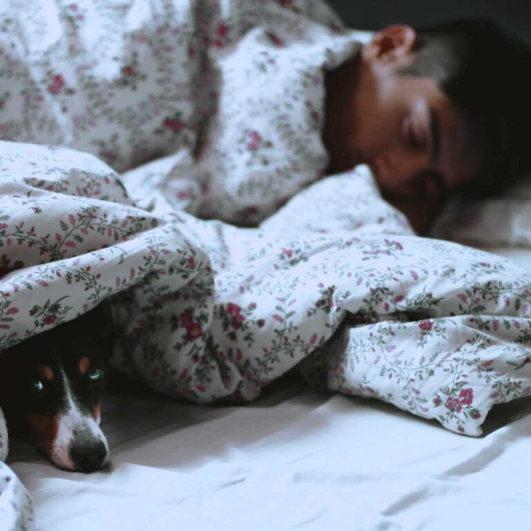 thé pour dormir detheiner relaxant sans caféine ou théine